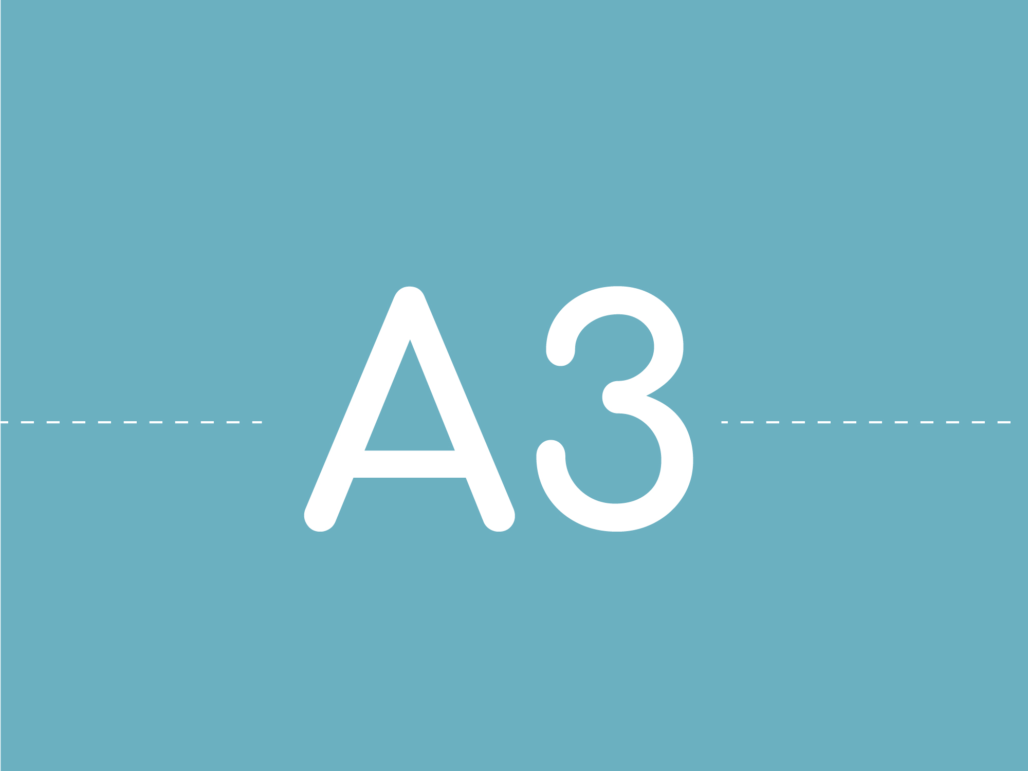A3