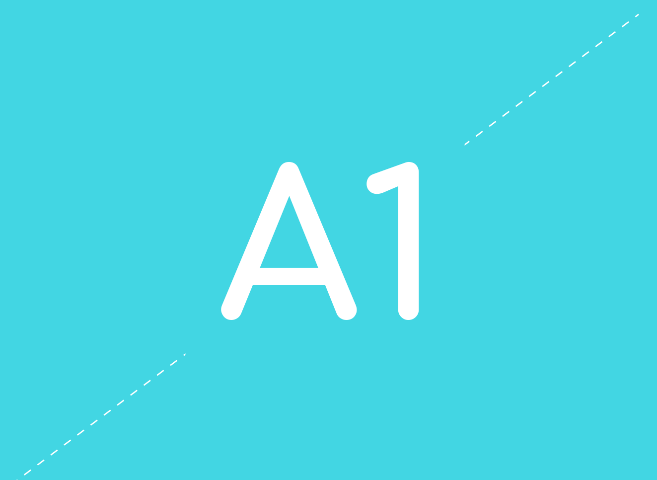 A1