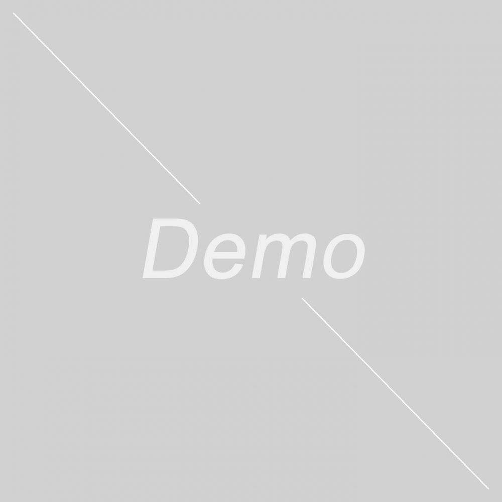 demo-img.jpg